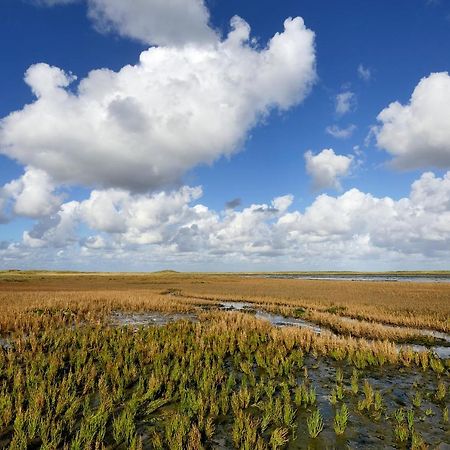 Appartement Duinzee Texel De Koog  Eksteriør bilde