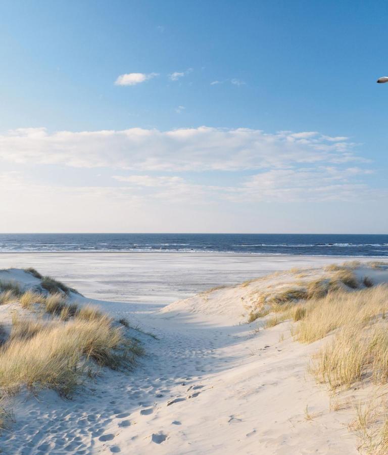 Appartement Duinzee Texel De Koog  Eksteriør bilde